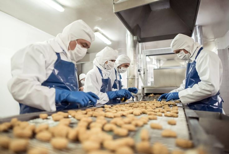 Food Processing